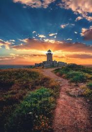 ����һ�����