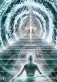 ���Ǳ�������޳໯���