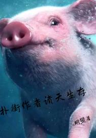 �˽�������������