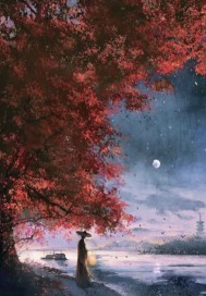 ���̣�����